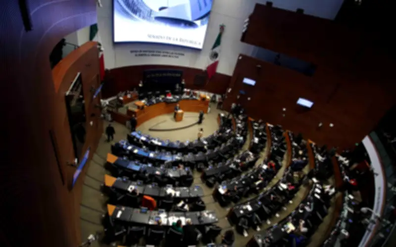 Senado aprueba ingreso de 19 marines estadounidenses a México para entrenamiento militar