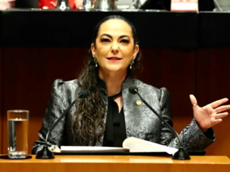 Senadora Olga Sosa propone tipificar reclutamiento de menores por crimen organizado