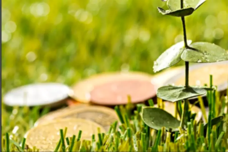 SHCP Coloca Bonos Sostenibles por 35,000 MDP para Financiar Proyectos Verdes