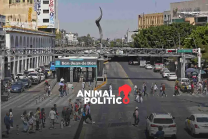 Sheinbaum anuncia operativo en Jalisco contra el CJNG y 'El Mencho'