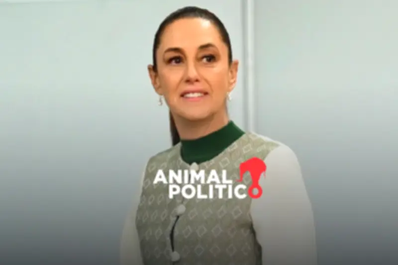 Sheinbaum Impulsa Reforma Electoral sin Consensos Previos en el Congreso