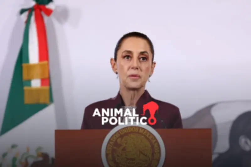 Sheinbaum presenta iniciativa para reducir costos de elecciones en México