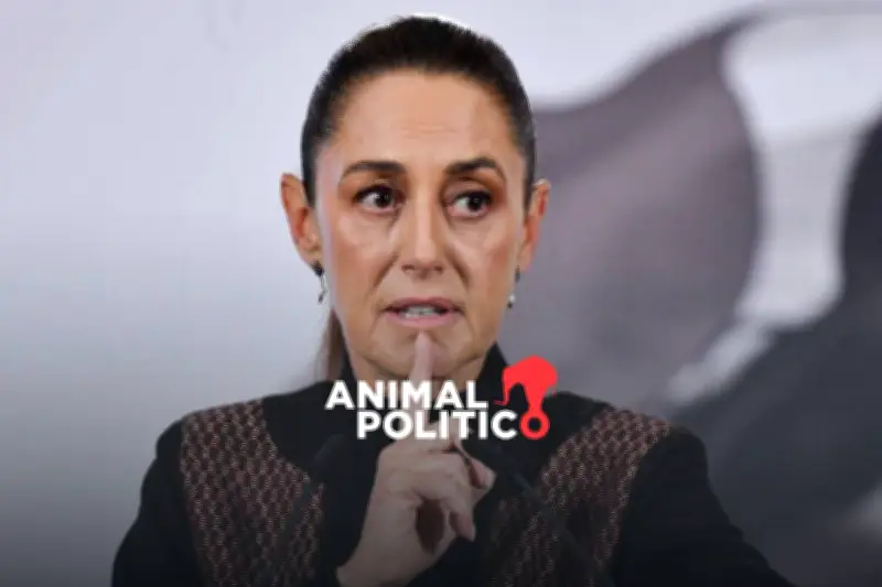 Sheinbaum Propone Eliminar Diputados Plurinominales, Genera Fricciones con el Partido Verde