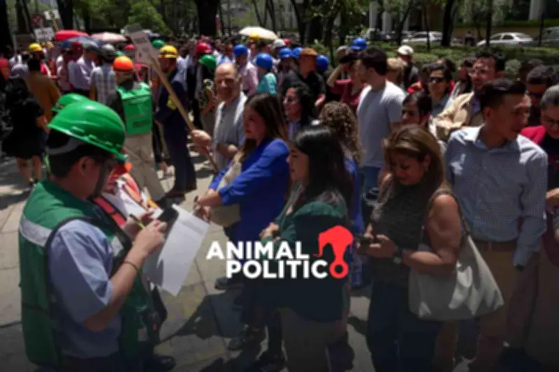 Simulacro de Sismo en CDMX 2026: Fecha, Hora y Protocolos de Seguridad