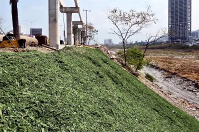 Simulan en el Río Bravo colocar pasto con aserrín verde para mejorar su apariencia