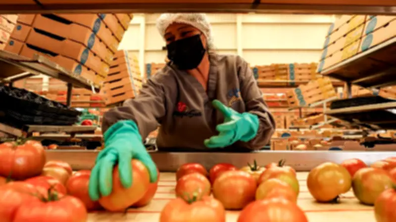 Superávit Agroalimentario de México Cae 47% en 2025, Rompiendo Racha de 9 Años