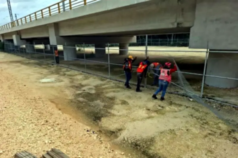 Suspenden Avances en el Tramo 5 del Tren Maya por Controversias Ambientales