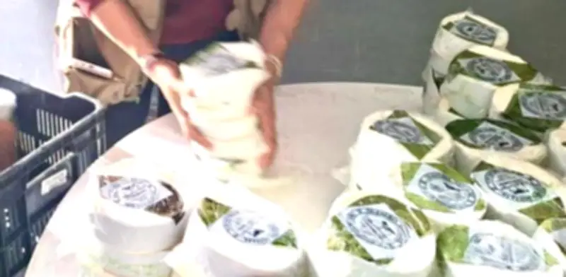 Tamaulipas activa alerta sanitaria por contaminación de Brucella en quesos frescos