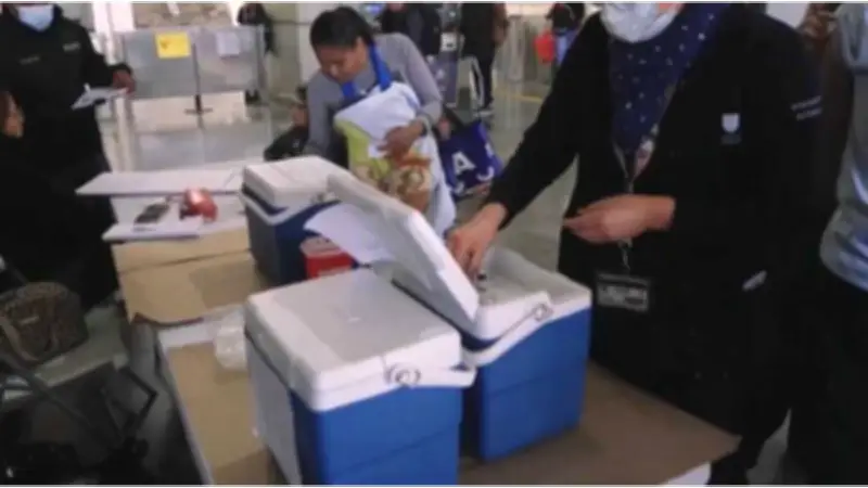 Tamaulipas se mantiene libre de sarampión pese a brotes en estados vecinos