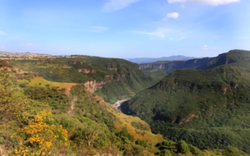 Tejuino: La Joya Gastronómica de Jalisco que Debes Probar