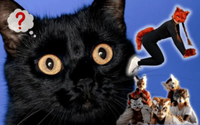 Therian: Guía completa para entender la identidad animal y términos como 'teriotipo'