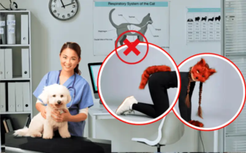 Therian que se identifica como perro busca atención veterinaria por 'moquillo' en San Luis