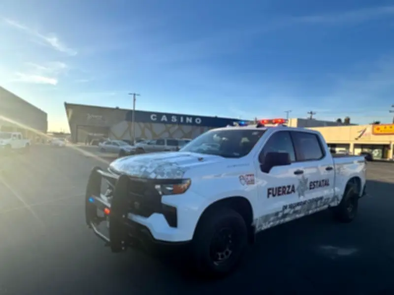 Tijuana: Detectan dos patrullas clonadas vinculadas a actividades delictivas