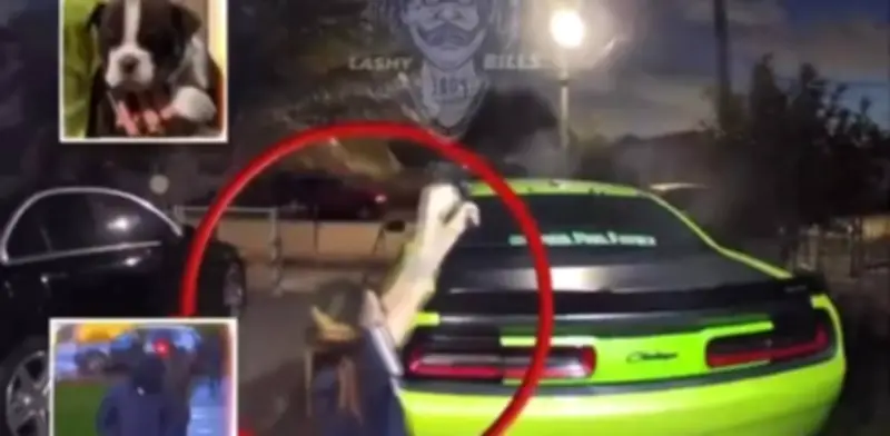 Tiroteo en Florida por robo de cachorros de lujo: mujer se defiende a balazos