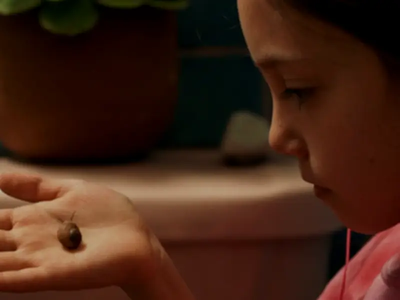 Totem de Lila Avilés: Un retrato íntimo de la familia mexicana frente a la muerte