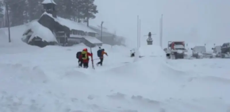 Tragedia en California: Ocho esquiadores mueren en avalancha en Castle Peak
