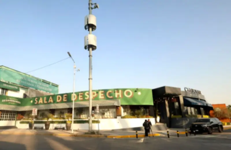 Tragedia en Puebla: Asesinan a tres jóvenes egresados de IBERO y UDLAP afuera de antro