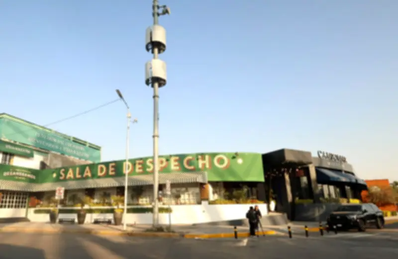 Tragedia en Puebla: Asesinan a tres jóvenes egresados de universidades prestigiosas