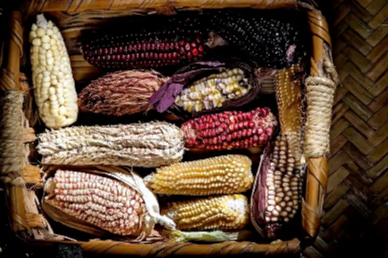 Transformación del Maíz: Innovación y Tradición en la Agricultura Mexicana