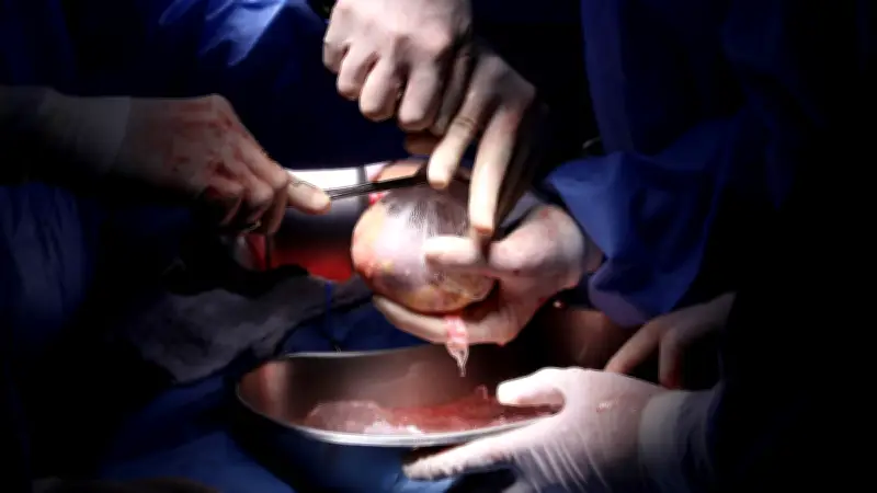 Trasplantes de órganos: un acto de amor que salva vidas y transforma destinos