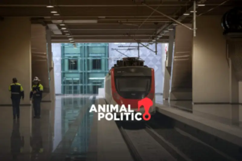 Tren Suburbano CDMX-AIFA Buenavista: Conectividad y Desarrollo en el Valle de México