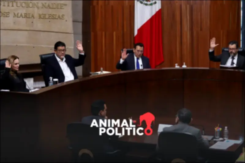 Tribunal Electoral prohíbe uso partidista de siglas CSP por coincidir con iniciales de Sheinbaum