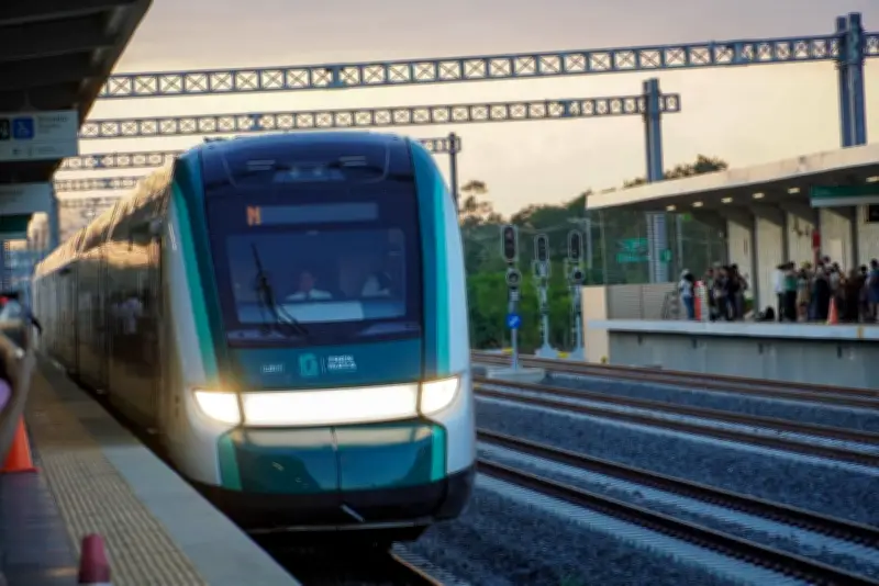 Tribunal ordena medidas ambientales obligatorias para el Tramo 5 del Tren Maya