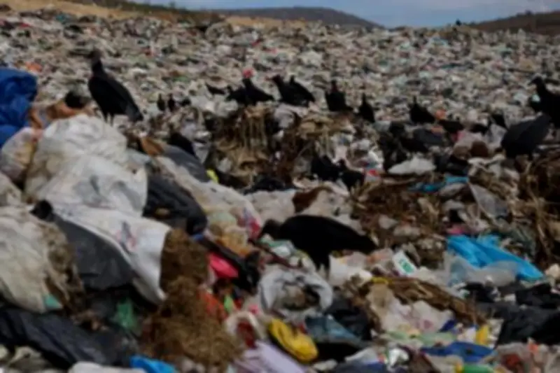 Tribunal suspende basurero de Kanasín por riesgo de contaminar acuífero de Mérida