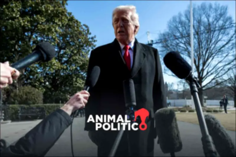 Trump anuncia visita a Venezuela y elogia a la presidenta encargada Cy Rodríguez