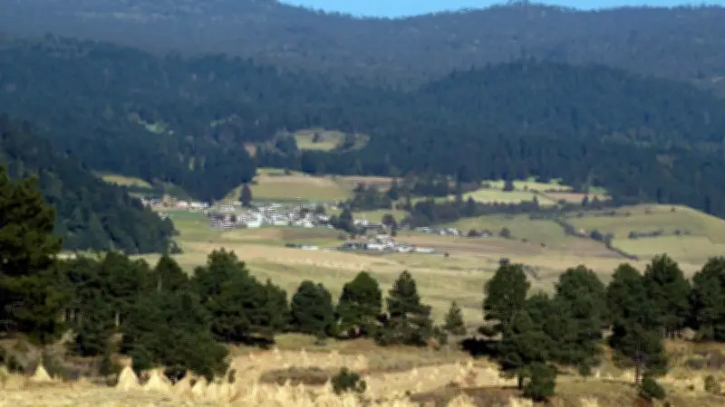 Turismo Rural en CDMX: Xochimilco, Tláhuac y Milpa Alta lideran oferta de naturaleza y tradición