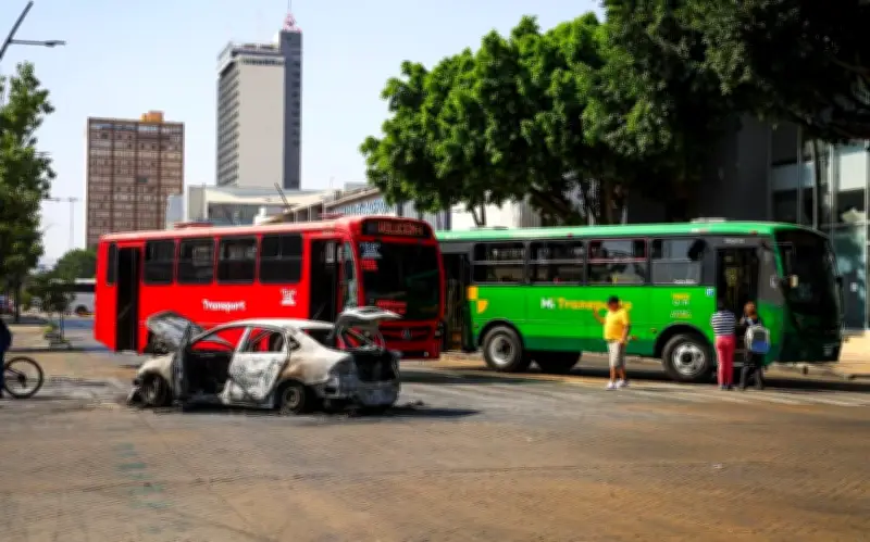 UdeG llama a la calma ante bloqueos en Jalisco tras operativo militar en Tapalpa