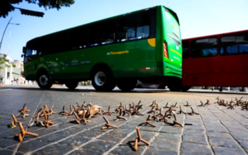 UdeG suspende actividades culturales en Guadalajara por seguridad tras bloqueos