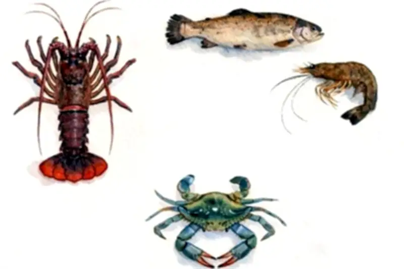 Un Océano de Sabores: La Riqueza Culinaria de los Pueblos Indígenas de México