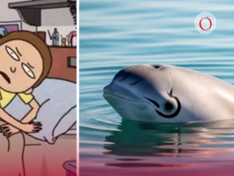 Vaquita Marina: La Crítica Situación del Cetáceo Más Amenazado del Mundo en México