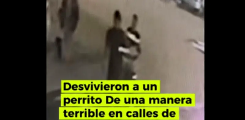 Vendedores ambulantes azotan a perro hasta matarlo en Nuevo León