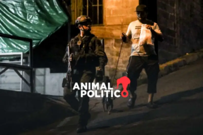 Venezuela post-Maduro: el éxodo de guerrilleros colombianos hacia la frontera