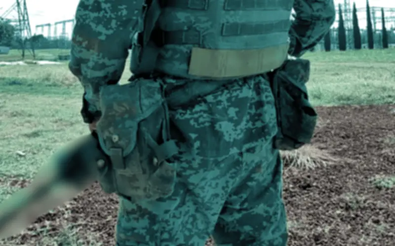 Video viral muestra brutal agresión de presuntos militares contra hombre en Michoacán