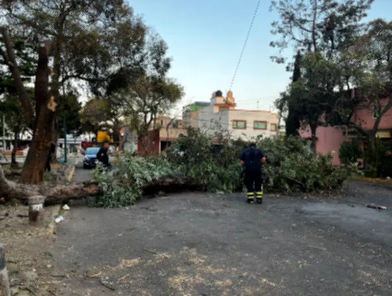 Vientos Fuertes Azotan CDMX: Alerta Naranja en 9 Alcaldías y Amarilla en 7