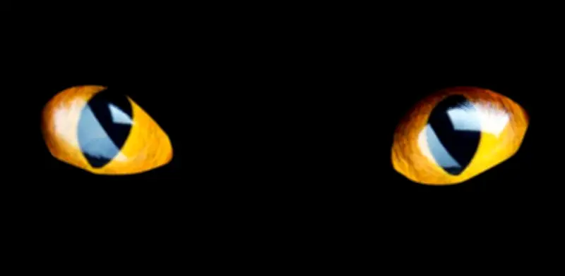 Viernes 13: Tragedias Históricas que Marcaron al Mundo en el Siglo XX y XXI