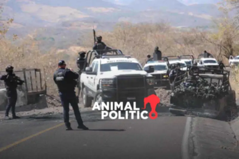 Violencia en Aguililla, Michoacán: CJNG y disputa por el control territorial