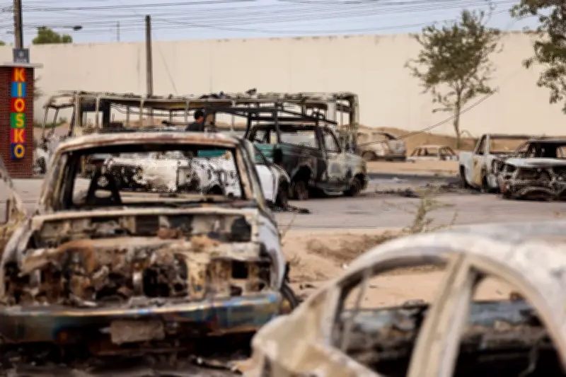 Violencia post-Mencho dispara robos de autos: 631 vehículos asegurados afectados según AMIS