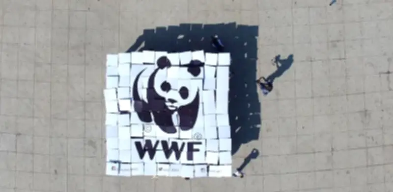 WWF México celebra 30 años con campaña 'Sé un héroe Panda' para salvar la naturaleza