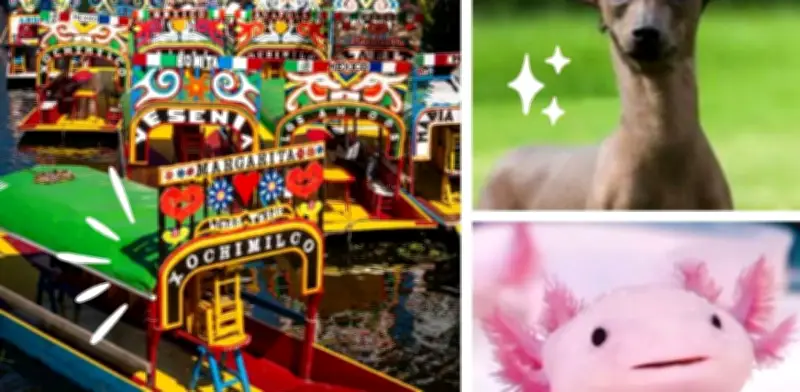 Xochimilco: 6 Joyas Turísticas Imperdibles en el Corazón de la CDMX