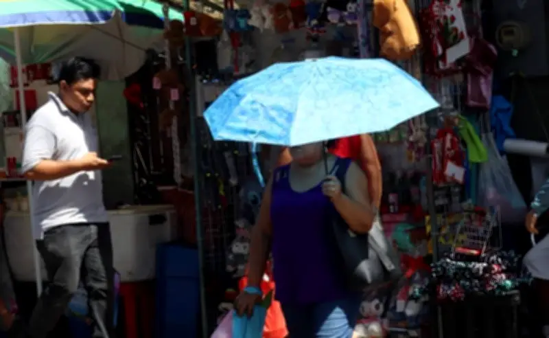 Yucatán registra clima estable con calor diurno; frente frío se aproxima para el domingo