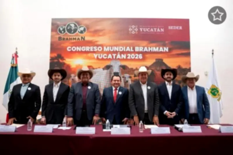Yucatán será sede del Congreso Mundial Brahman 2026, un impulso al ganado