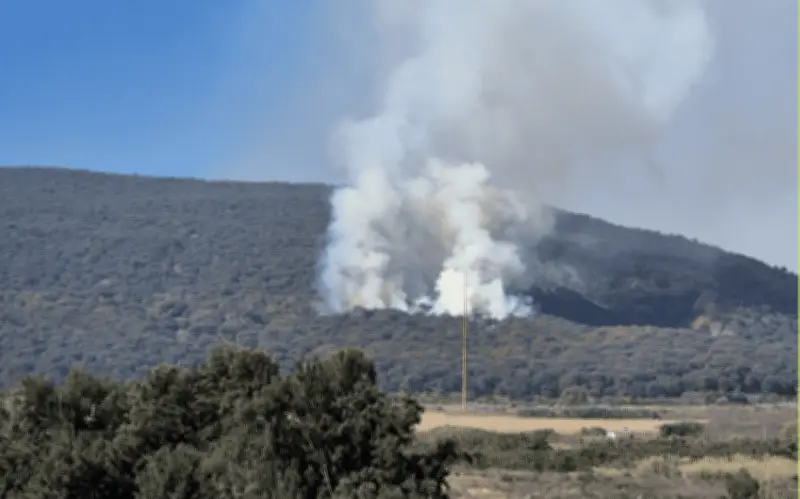 Zapopan activa brigadas ante primeros incendios forestales de gran magnitud en Jalisco