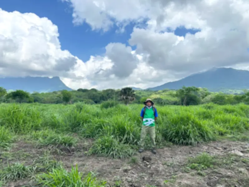 Zonas Arqueológicas: Refugios Clave para Murciélagos y Conservación en México