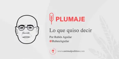 Almodóvar estrena 'La habitación de al lado', su primera película en inglés sobre la muerte digna