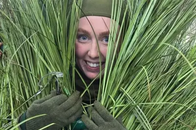 Arbolitos Humanos de Bad Bunny: Ganan Hasta 1,309 Dólares por Día en Conciertos