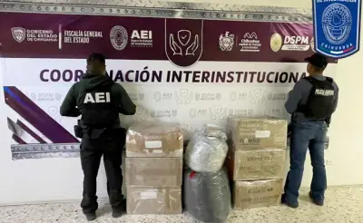 Aseguran casi 93 kilos de marihuana en operativo antidrogas en Ciudad Juárez, Chihuahua